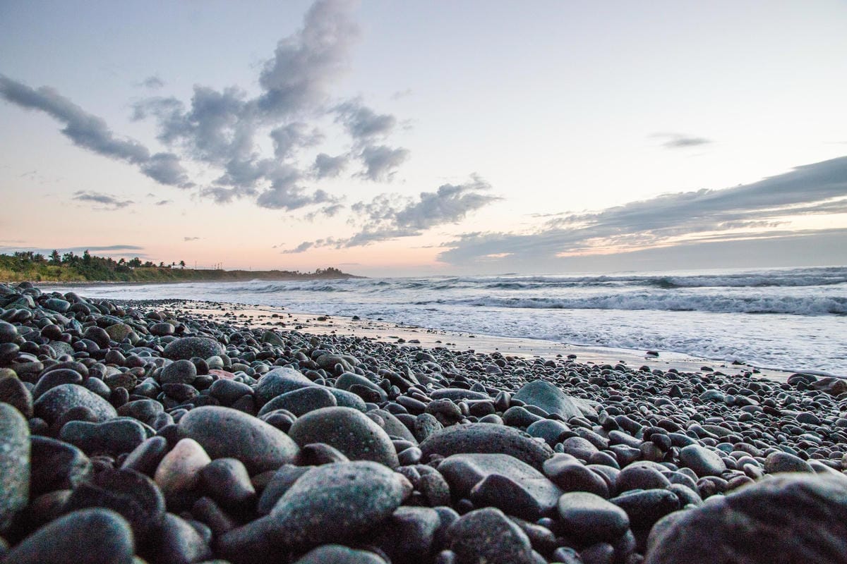 IMG_8738 (Copy).jpg IMG_8738 (Copy).jpg