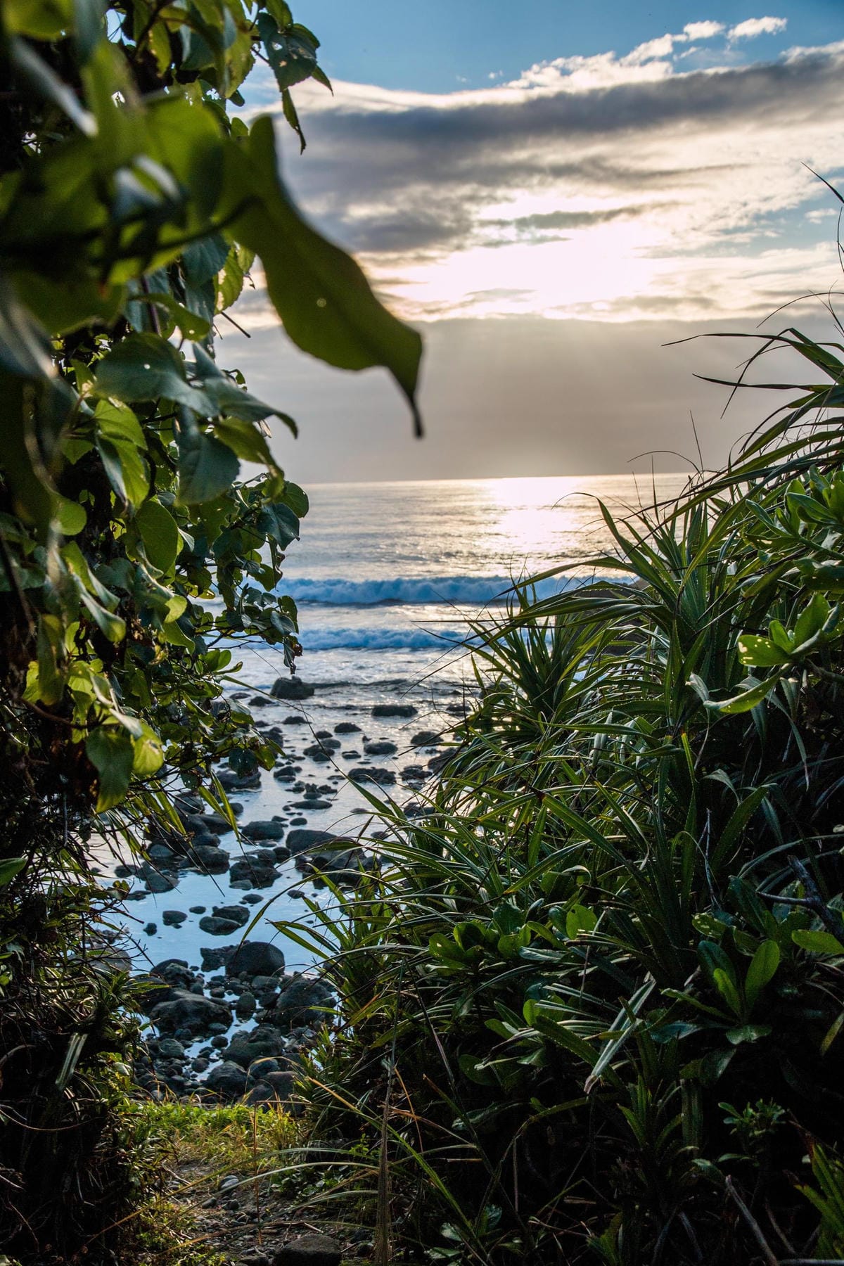 IMG_8780 (Copy).jpg IMG_8780 (Copy).jpg