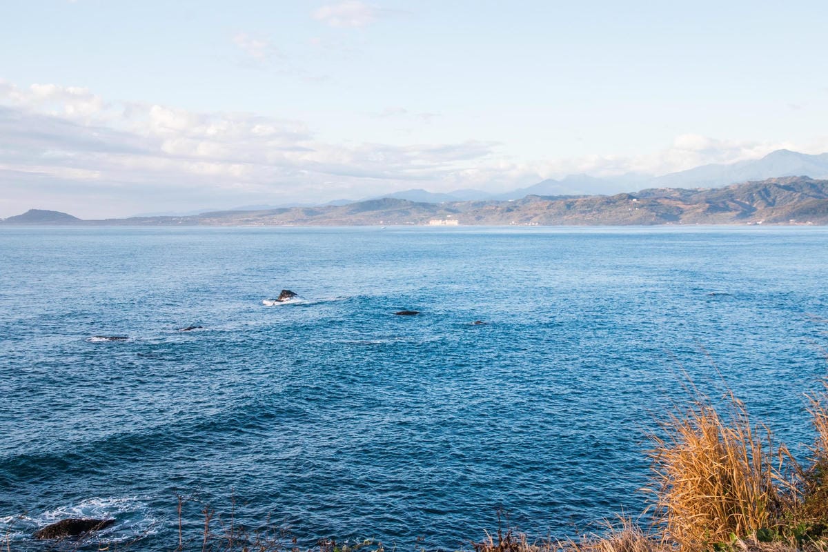 IMG_8790 (Copy).jpg IMG_8790 (Copy).jpg