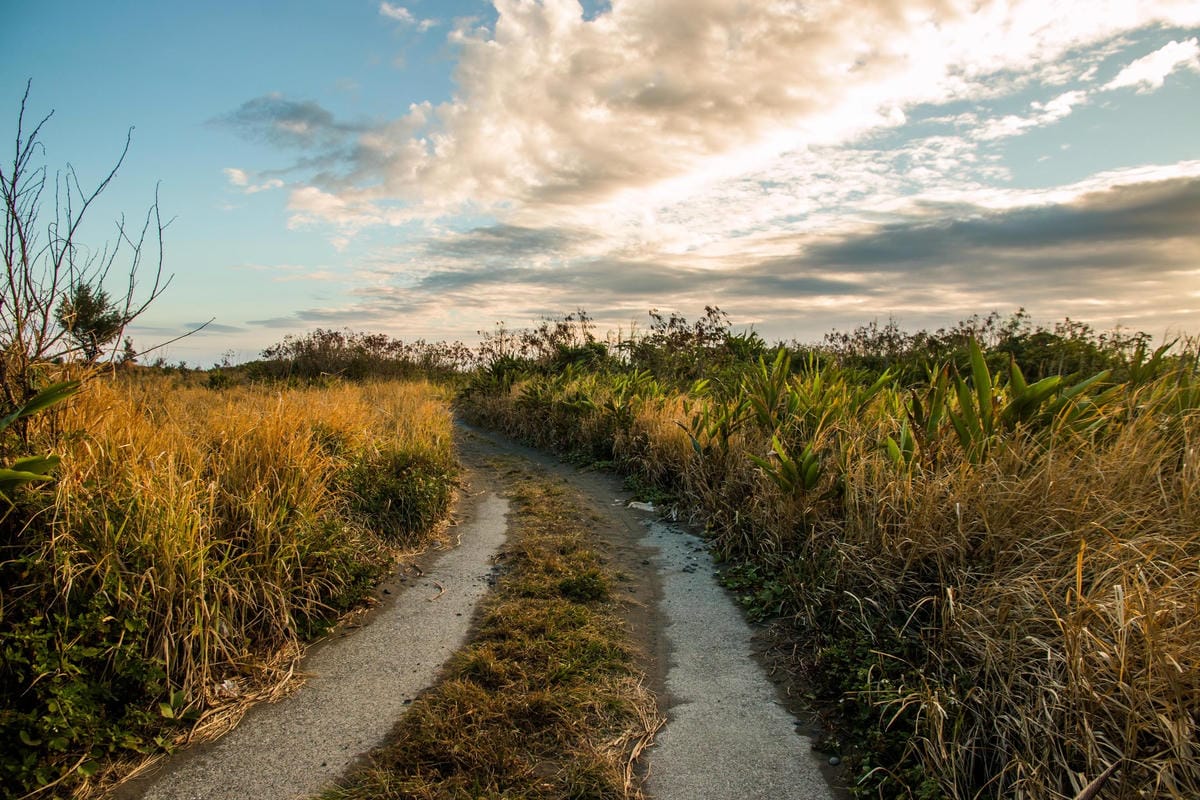 IMG_8772 (Copy).jpg IMG_8772 (Copy).jpg