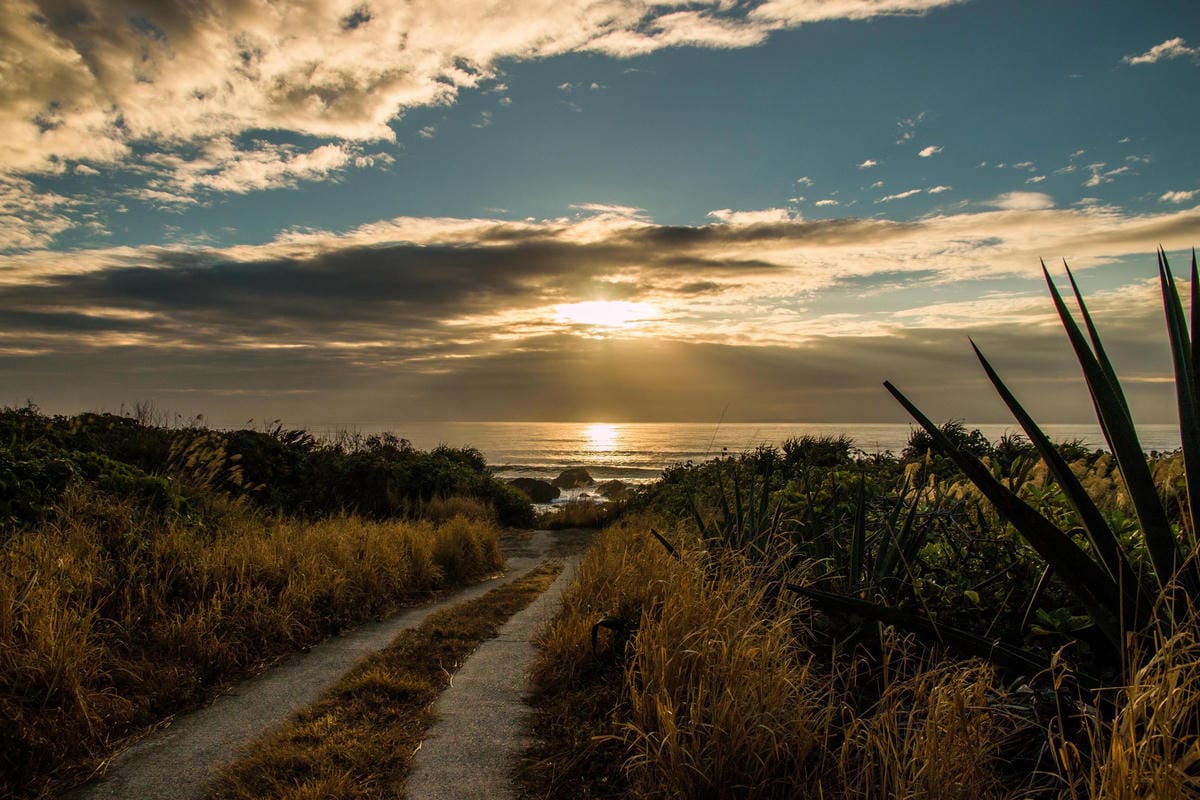 IMG_8775 (Copy).jpg IMG_8775 (Copy).jpg