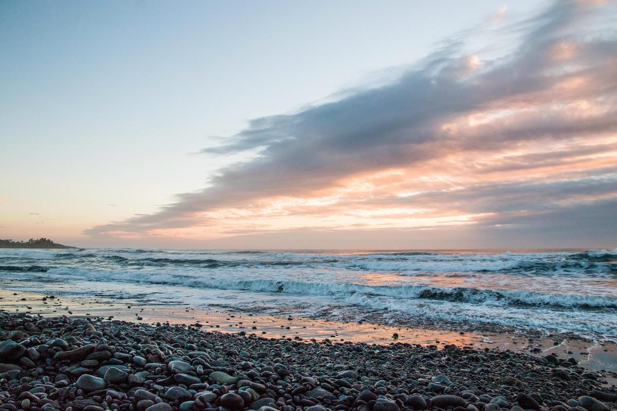 IMG_8740 (Copy).jpg IMG_8740 (Copy).jpg