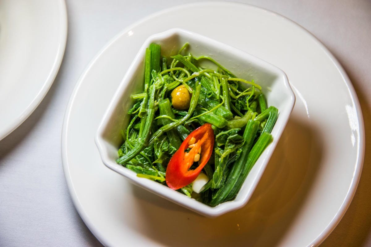 IMG_1442 (Copy).jpg IMG_1442 (Copy).jpg