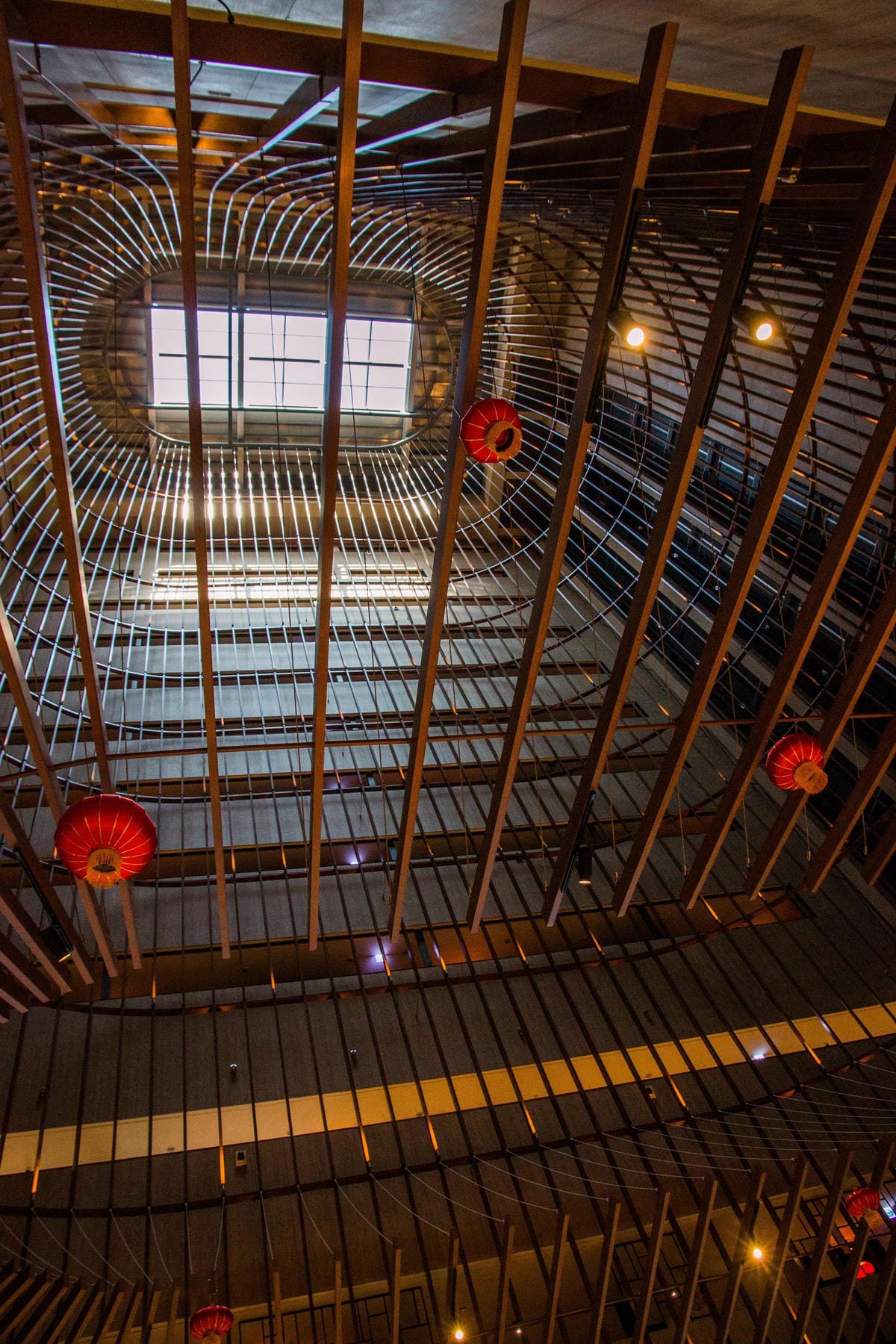 IMG_1594 (Copy).jpg IMG_1594 (Copy).jpg