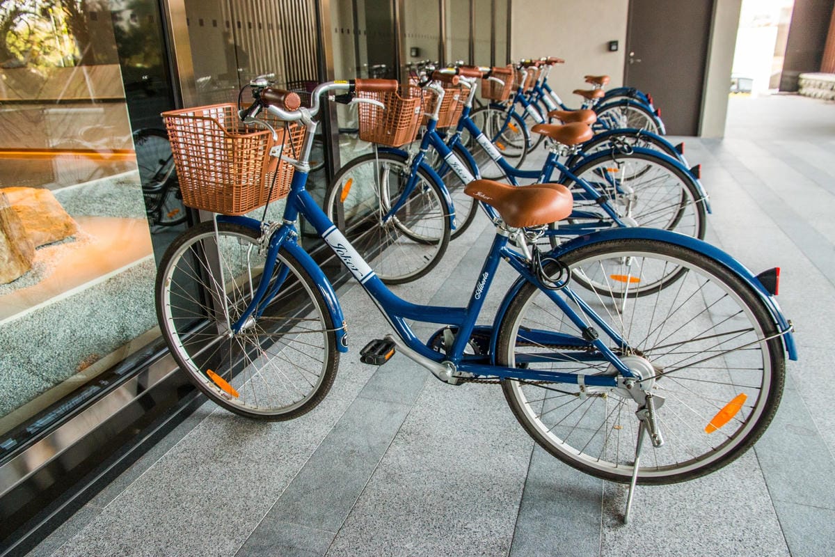 IMG_1596 (Copy).jpg IMG_1596 (Copy).jpg