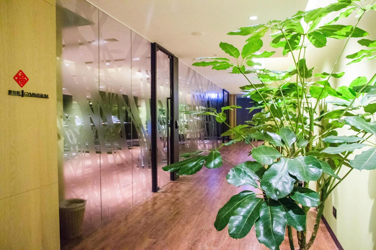 IMG_1546 (Copy).jpg IMG_1546 (Copy).jpg