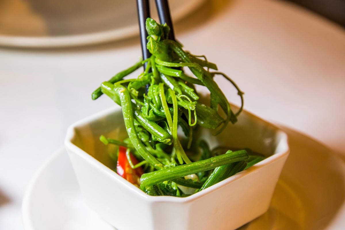 IMG_1461 (Copy).jpg IMG_1461 (Copy).jpg