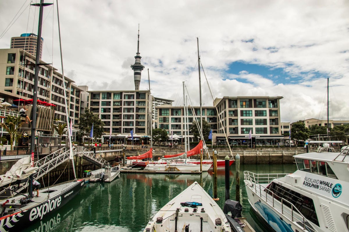 IMG_2304 (Copy).jpg IMG_2304 (Copy).jpg