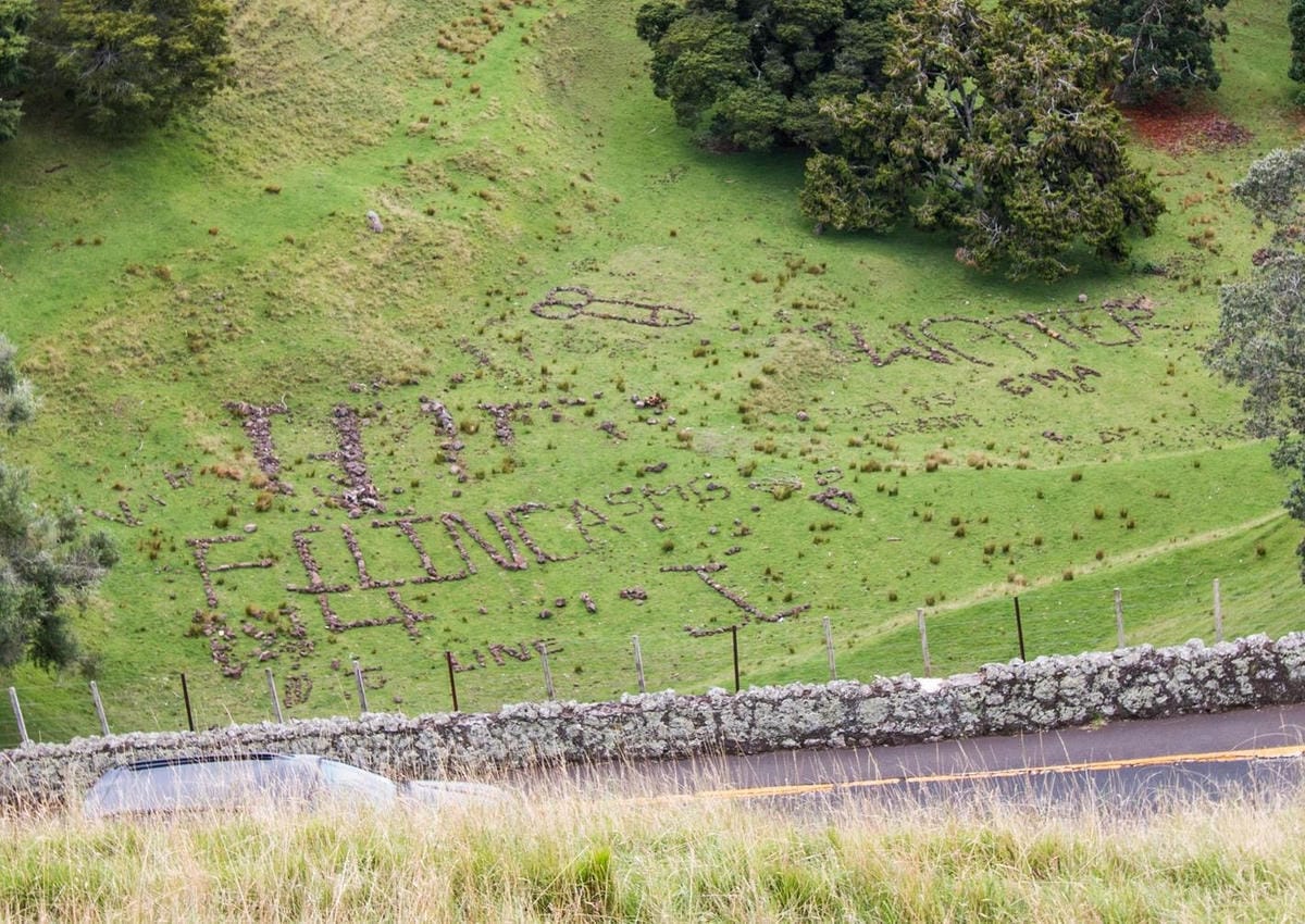 IMG_2265 (Copy).jpg IMG_2265 (Copy).jpg