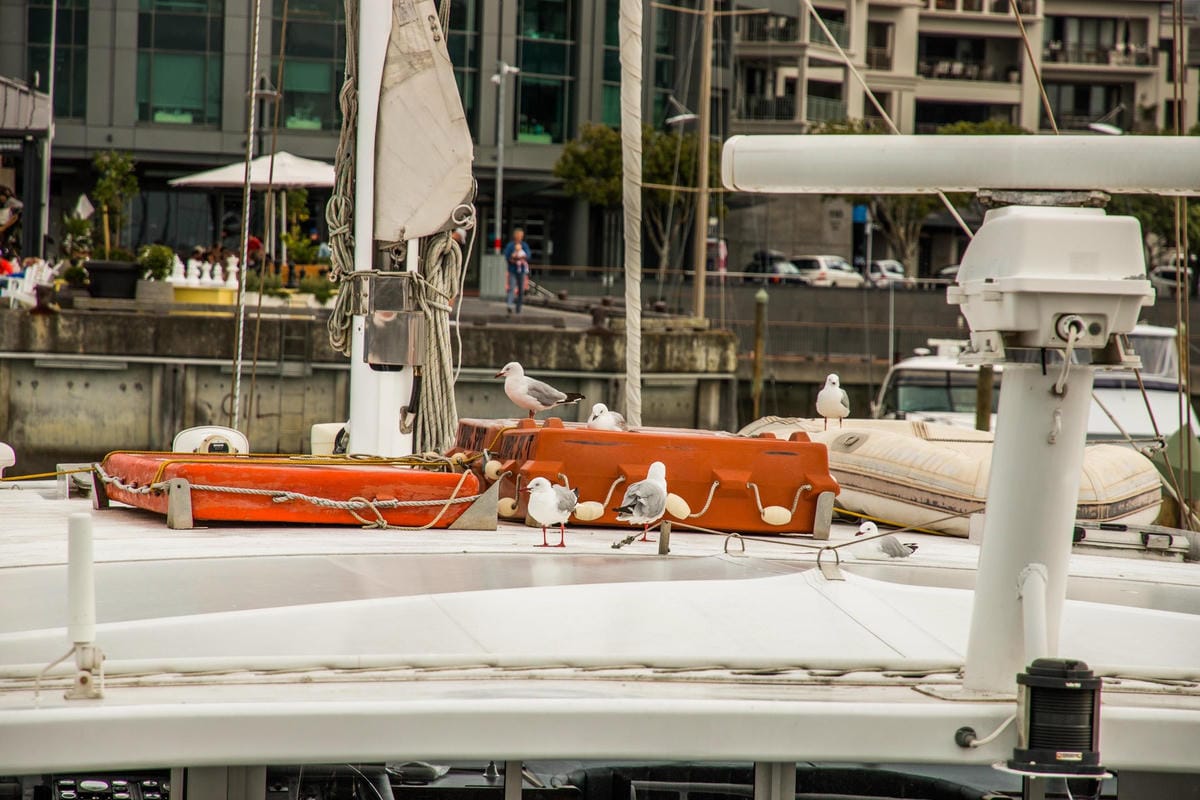 IMG_2306 (Copy).jpg IMG_2306 (Copy).jpg