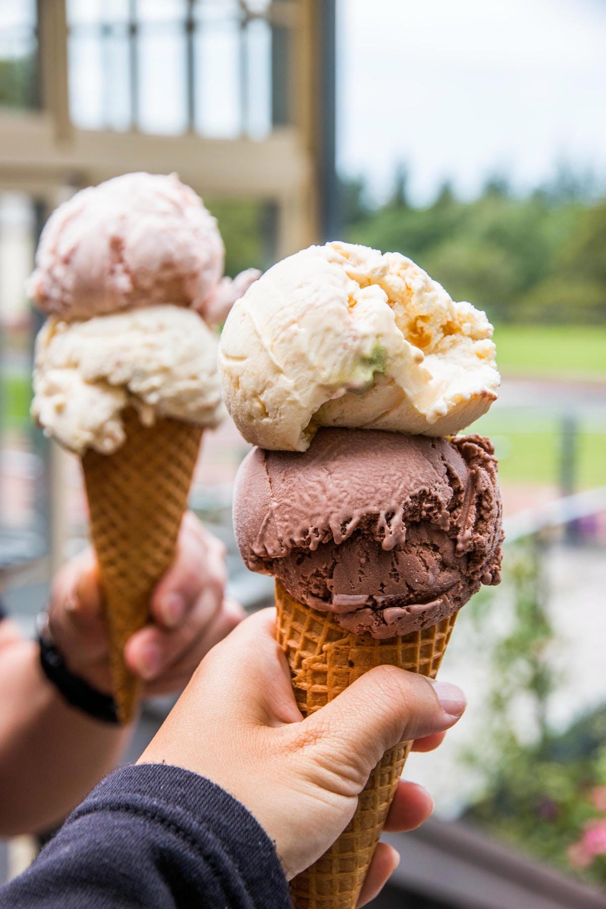 IMG_2275 (Copy).jpg IMG_2275 (Copy).jpg