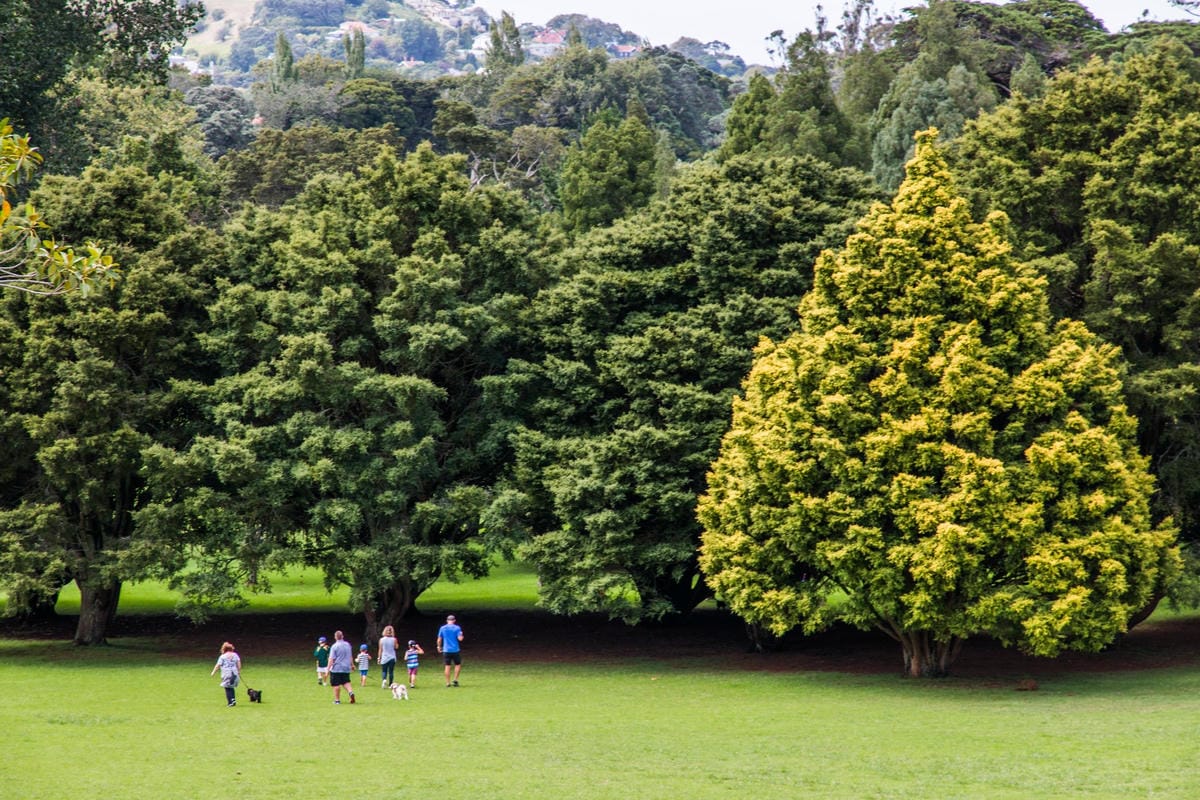 IMG_2291 (Copy).jpg IMG_2291 (Copy).jpg