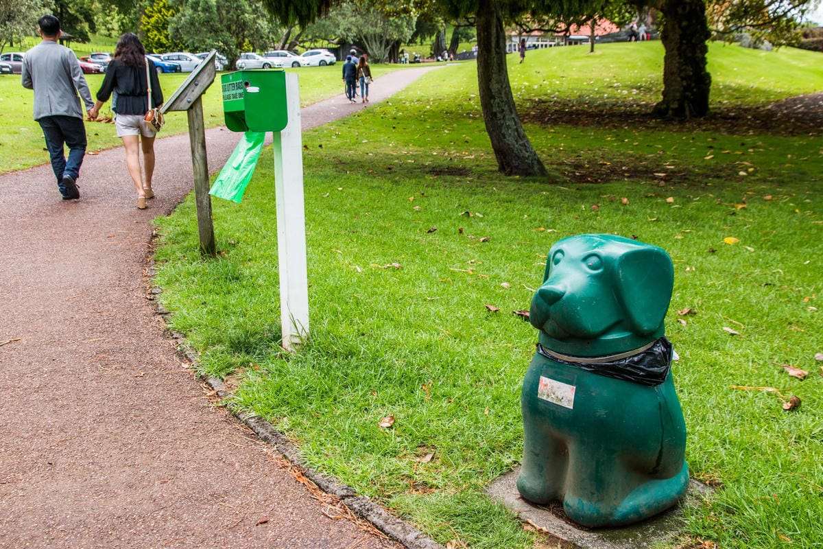 IMG_2296 (Copy).jpg IMG_2296 (Copy).jpg