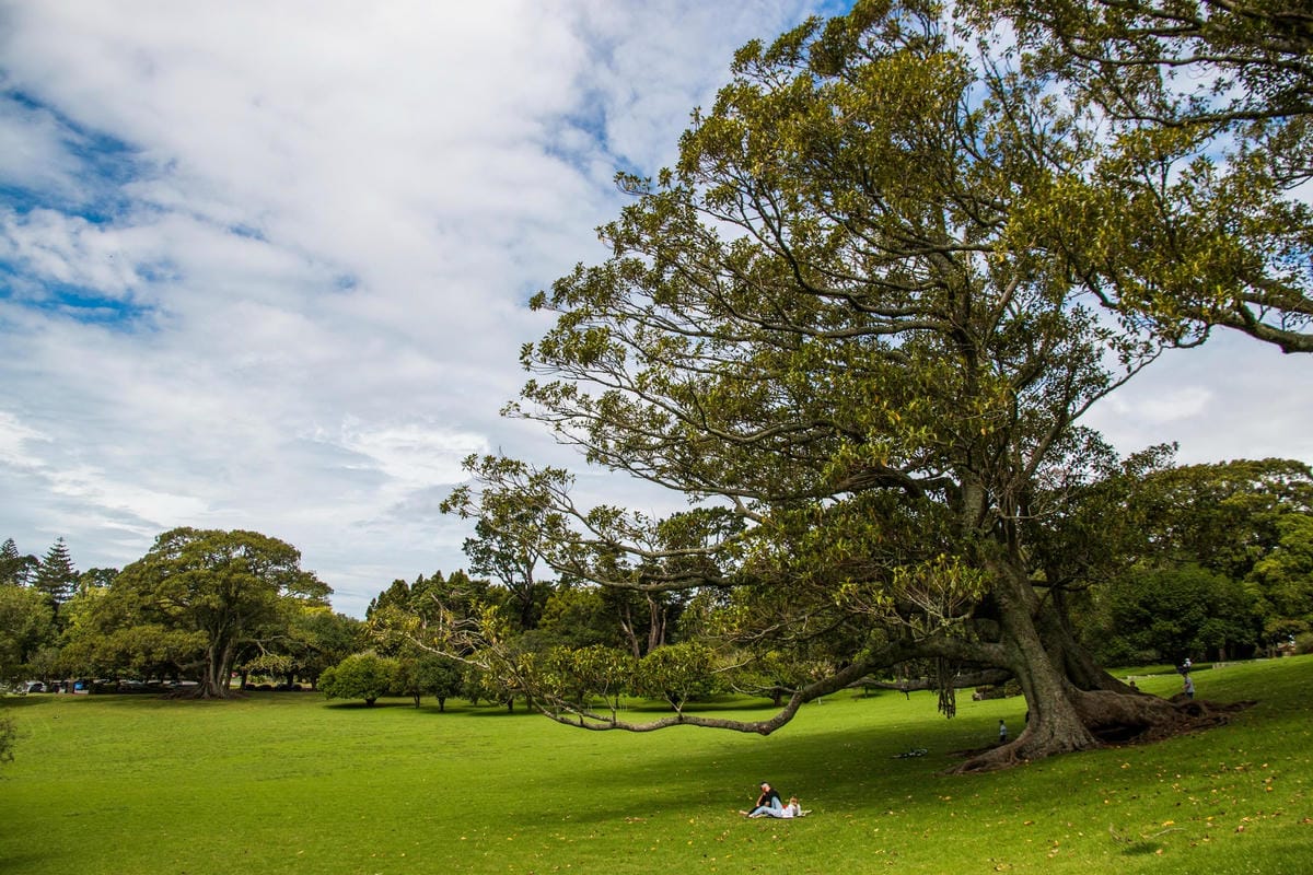 IMG_2282 (Copy).jpg IMG_2282 (Copy).jpg