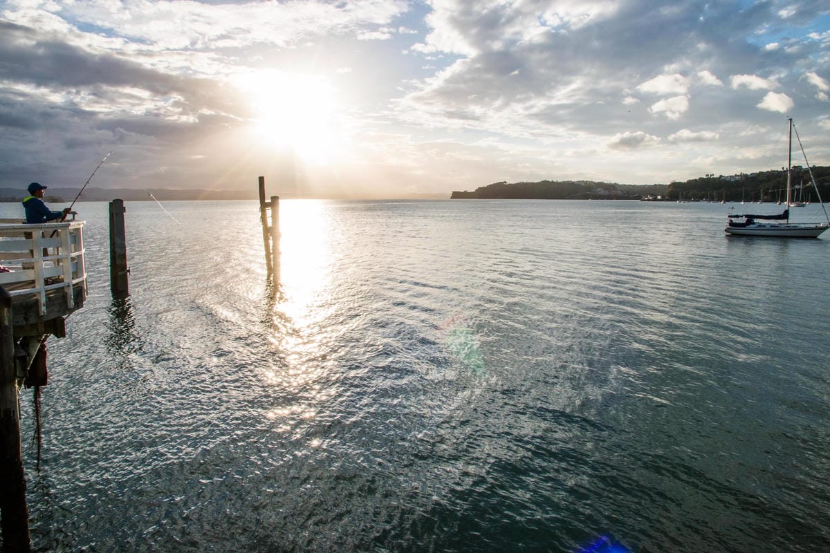 IMG_2372 (Copy).jpg IMG_2372 (Copy).jpg