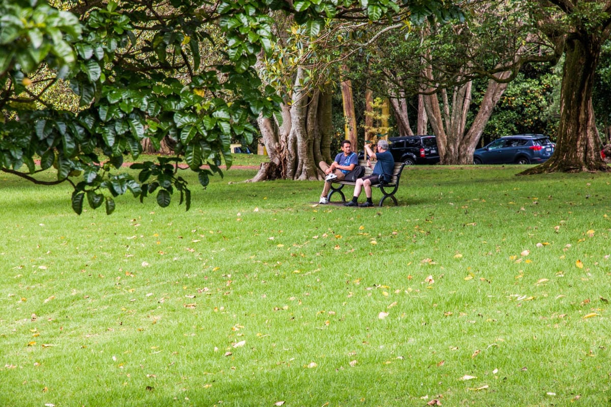 IMG_2293 (Copy).jpg IMG_2293 (Copy).jpg