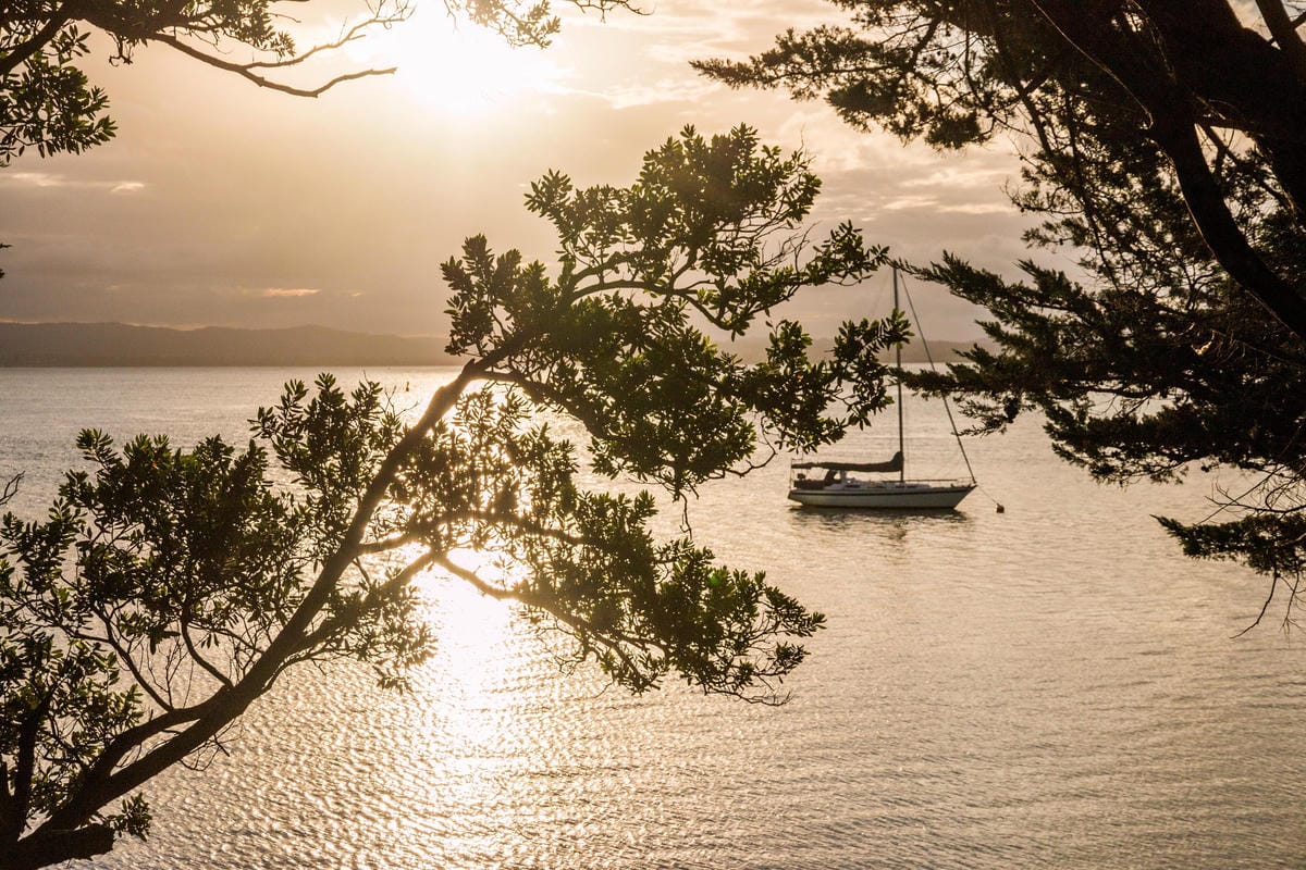 IMG_2382 (Copy).jpg IMG_2382 (Copy).jpg