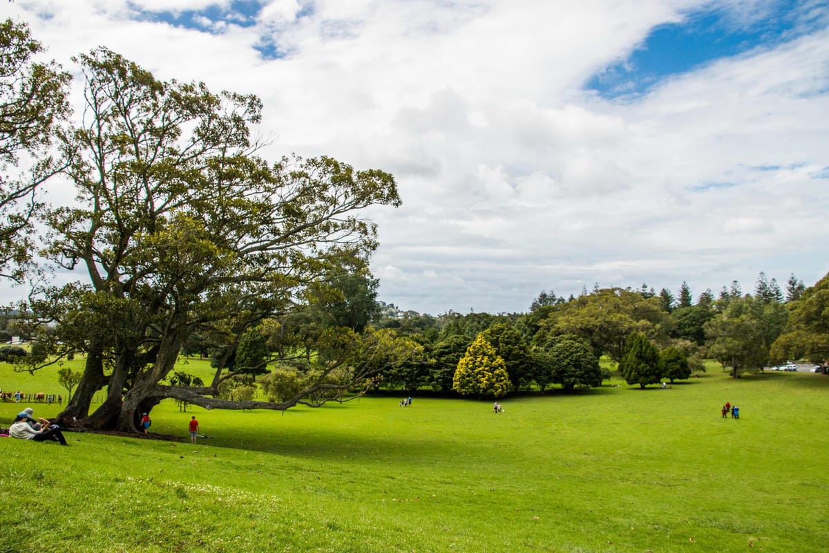 IMG_2290 (Copy).jpg IMG_2290 (Copy).jpg