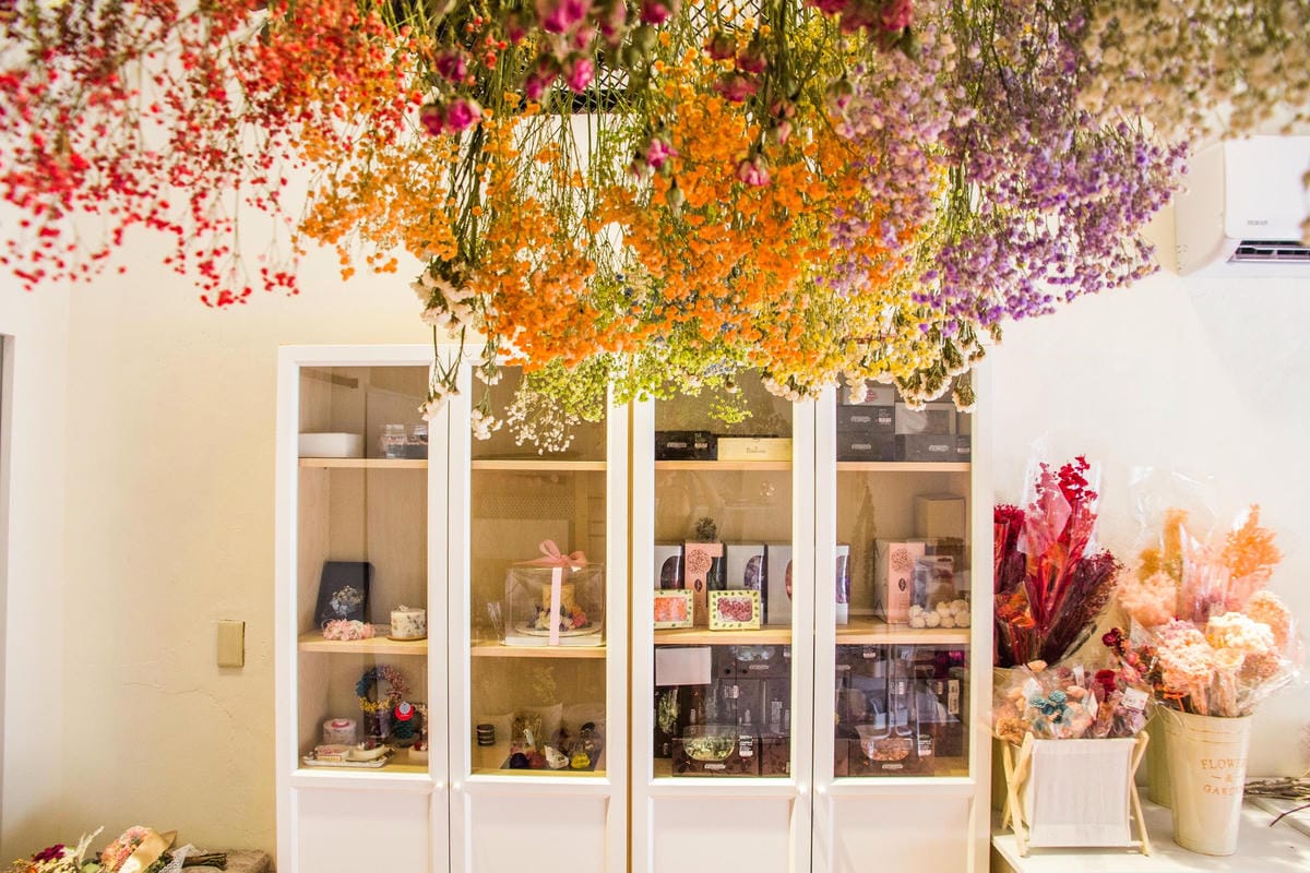 IMG_8569 (Copy).jpg IMG_8569 (Copy).jpg