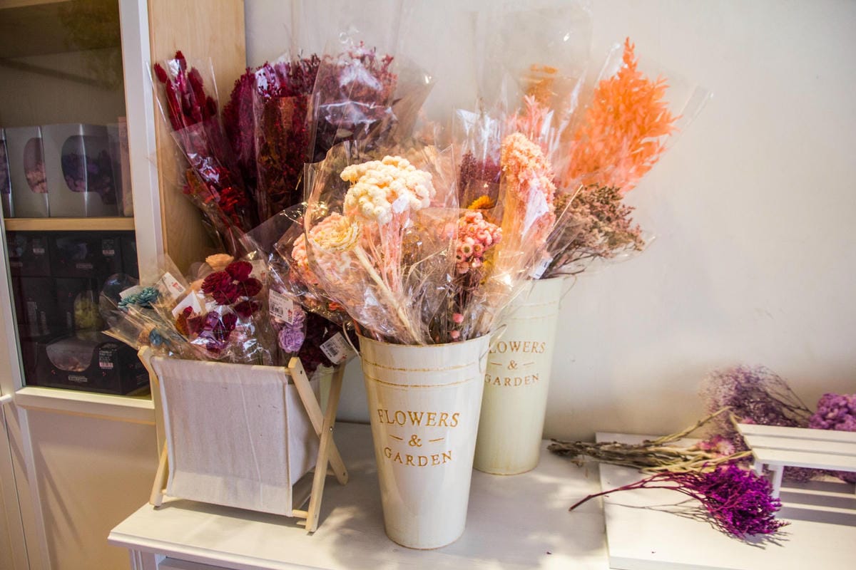 IMG_8484 (Copy).jpg IMG_8484 (Copy).jpg