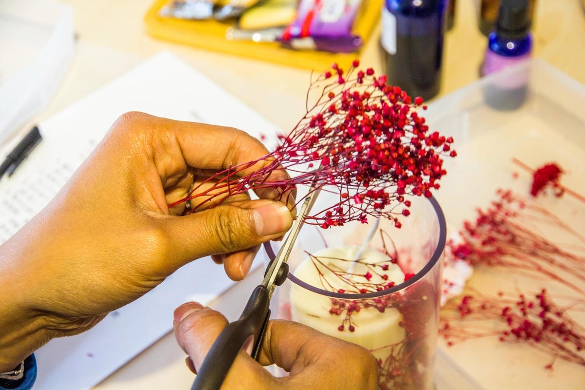 IMG_8511 (Copy).jpg IMG_8511 (Copy).jpg