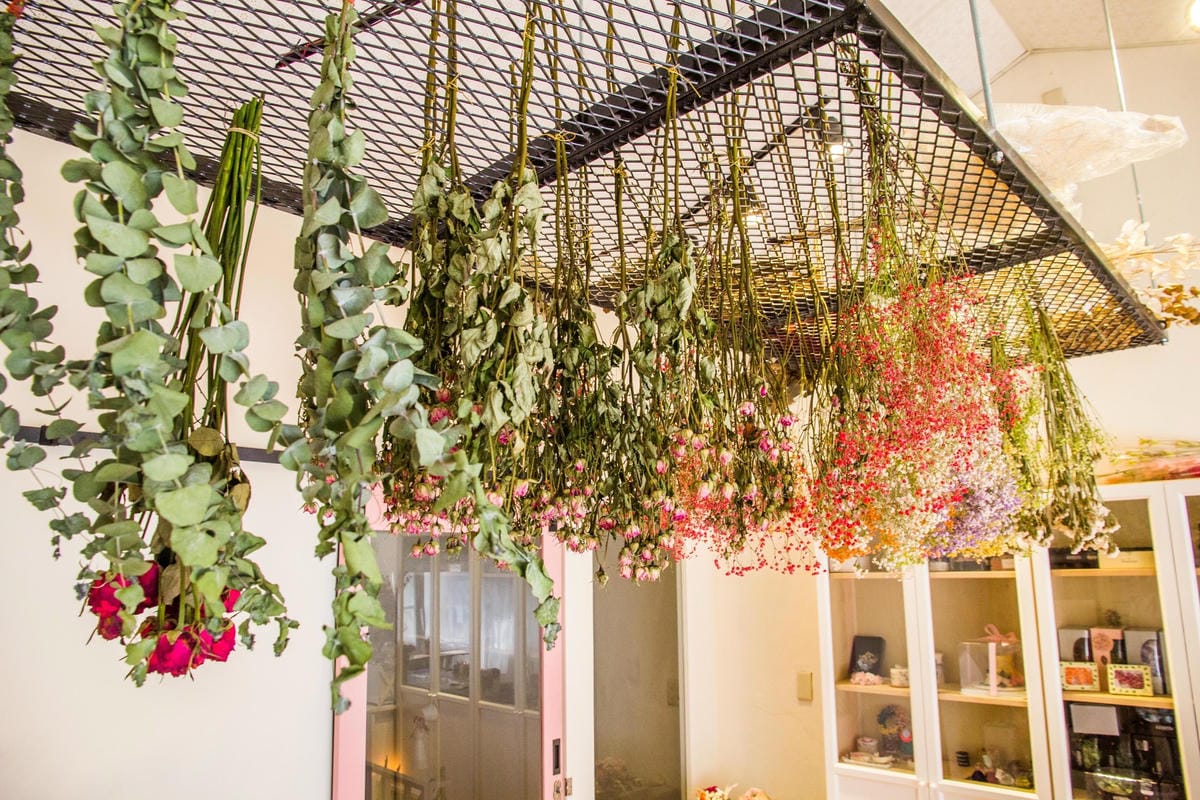 IMG_8490 (Copy).jpg IMG_8490 (Copy).jpg