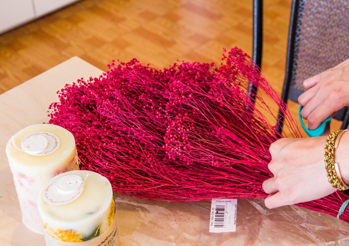 IMG_8480 (Copy).jpg IMG_8480 (Copy).jpg