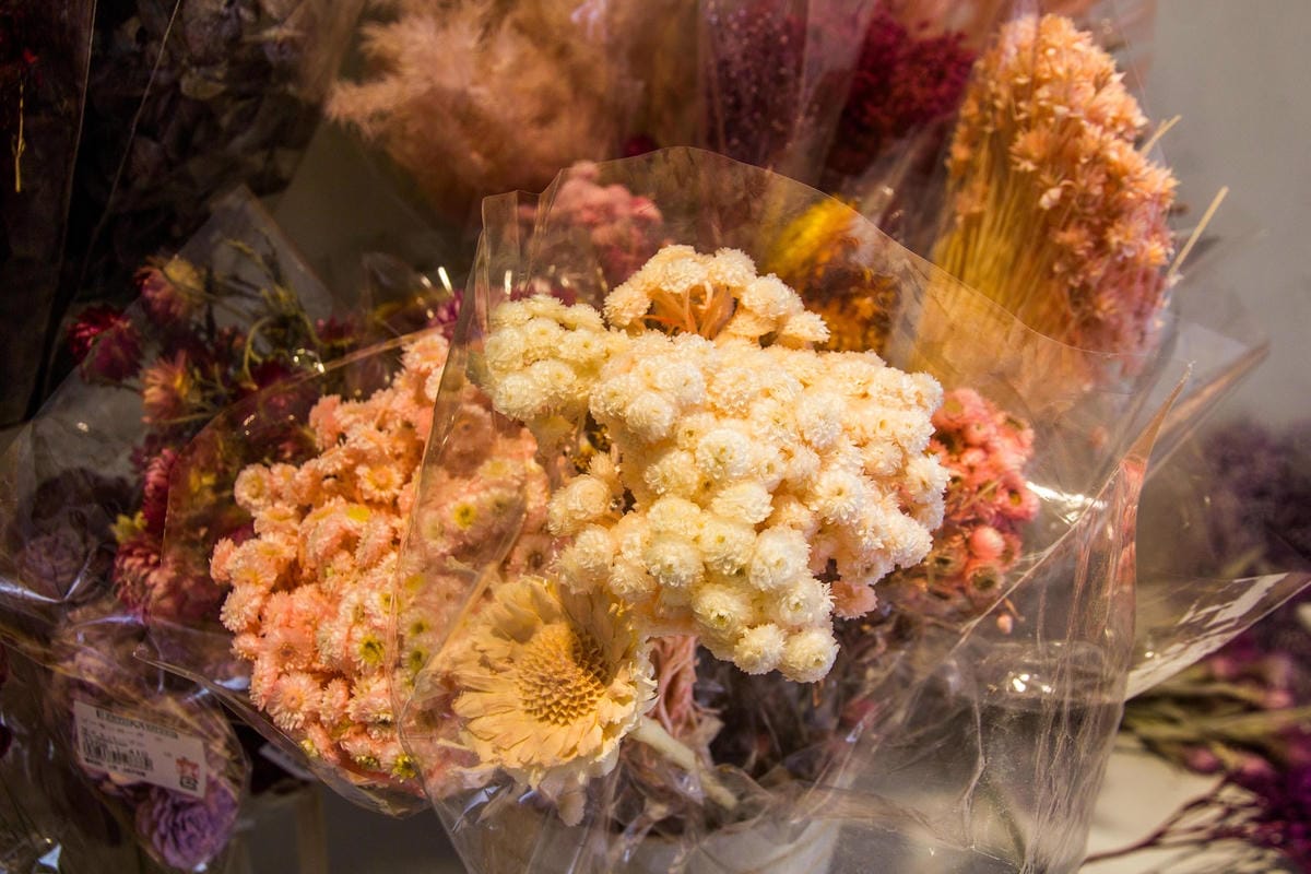 IMG_8487 (Copy).jpg IMG_8487 (Copy).jpg