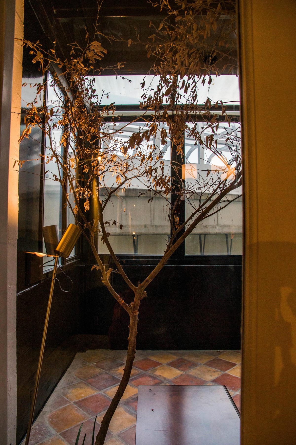 IMG_2446 (Copy).jpg IMG_2446 (Copy).jpg