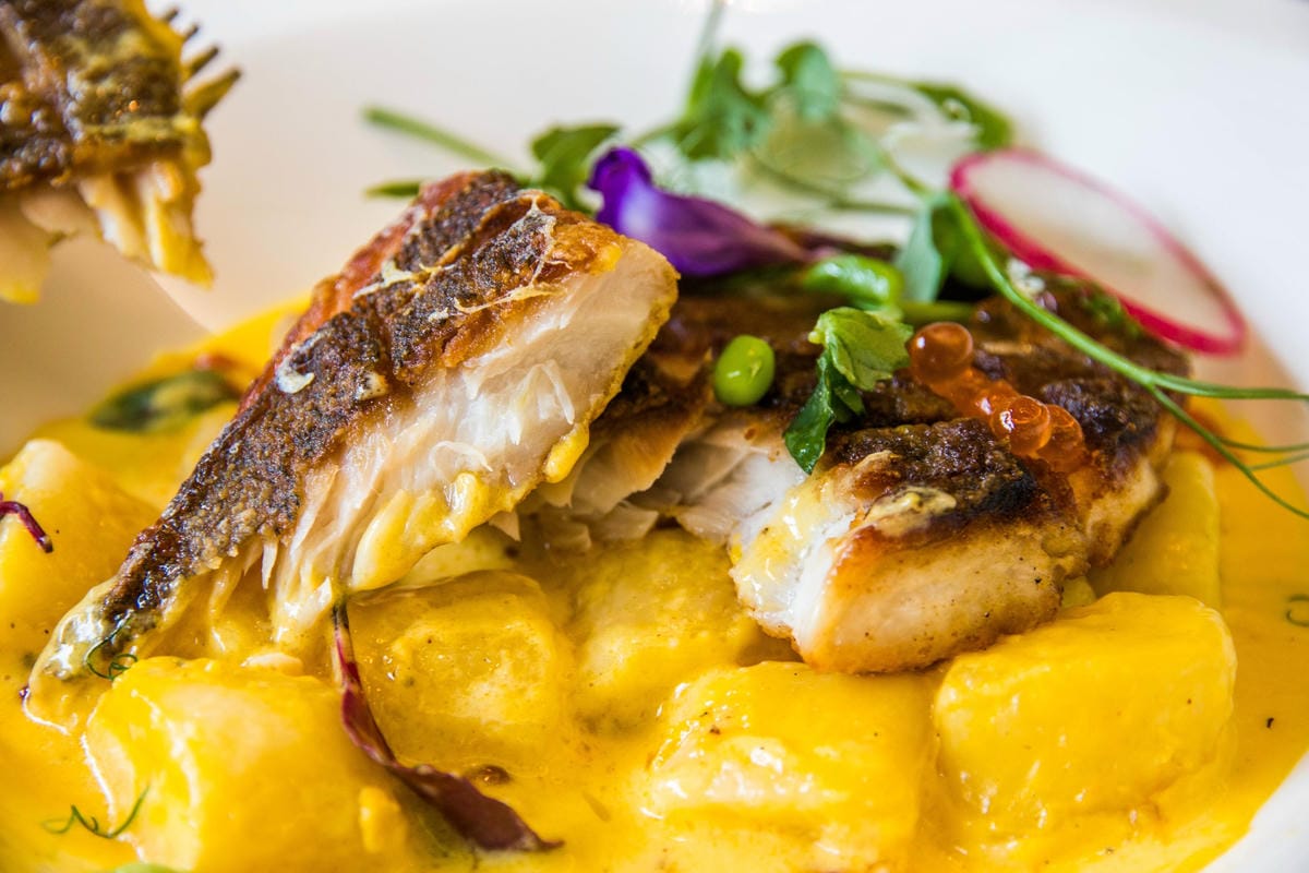 IMG_2603 (Copy).jpg IMG_2603 (Copy).jpg