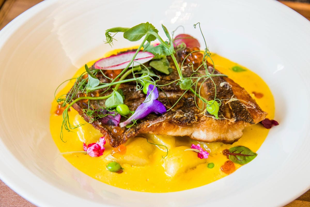 IMG_2598 (Copy).jpg IMG_2598 (Copy).jpg