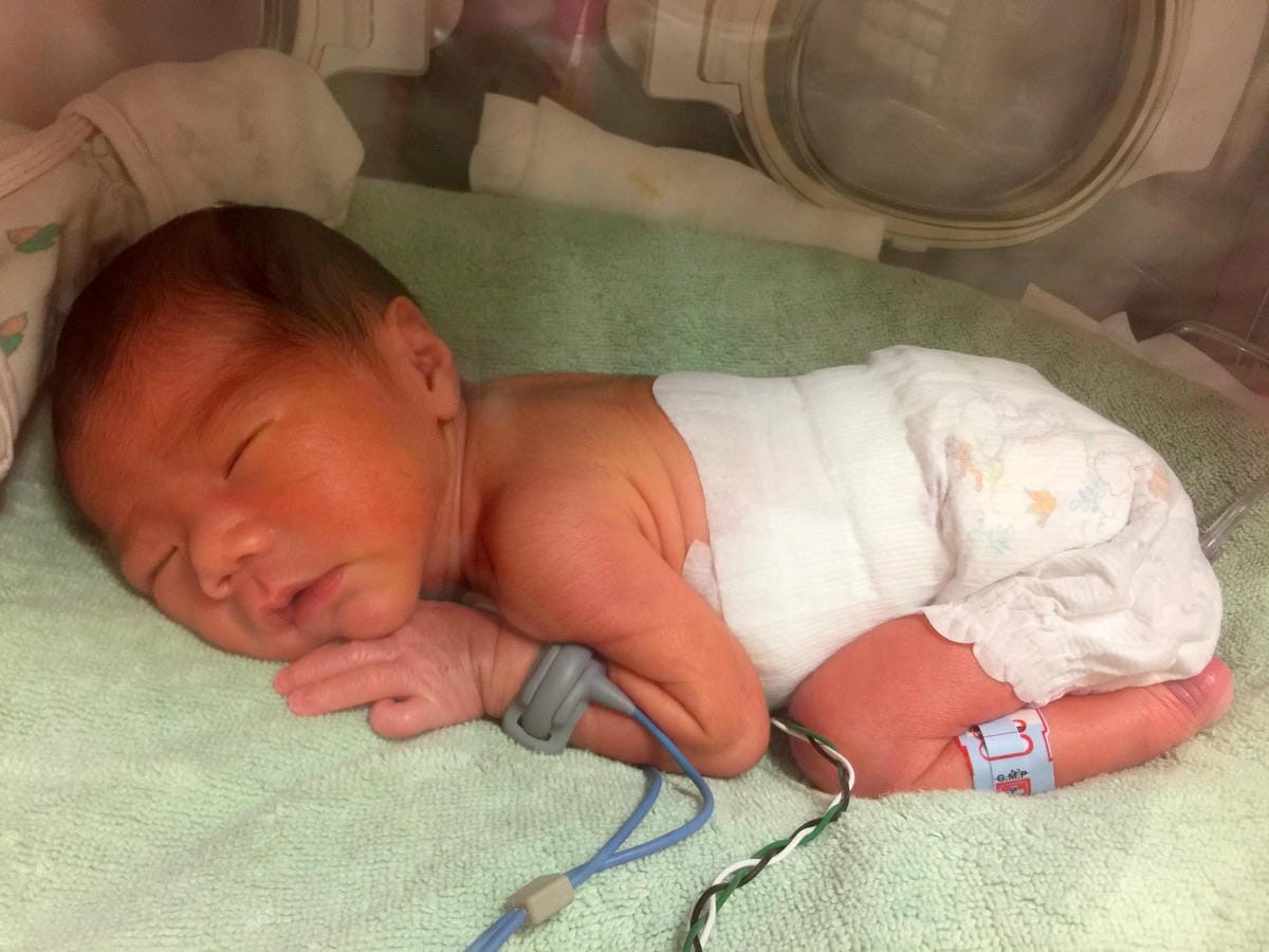 IMG_9769 (Copy).JPG IMG_9769 (Copy).JPG