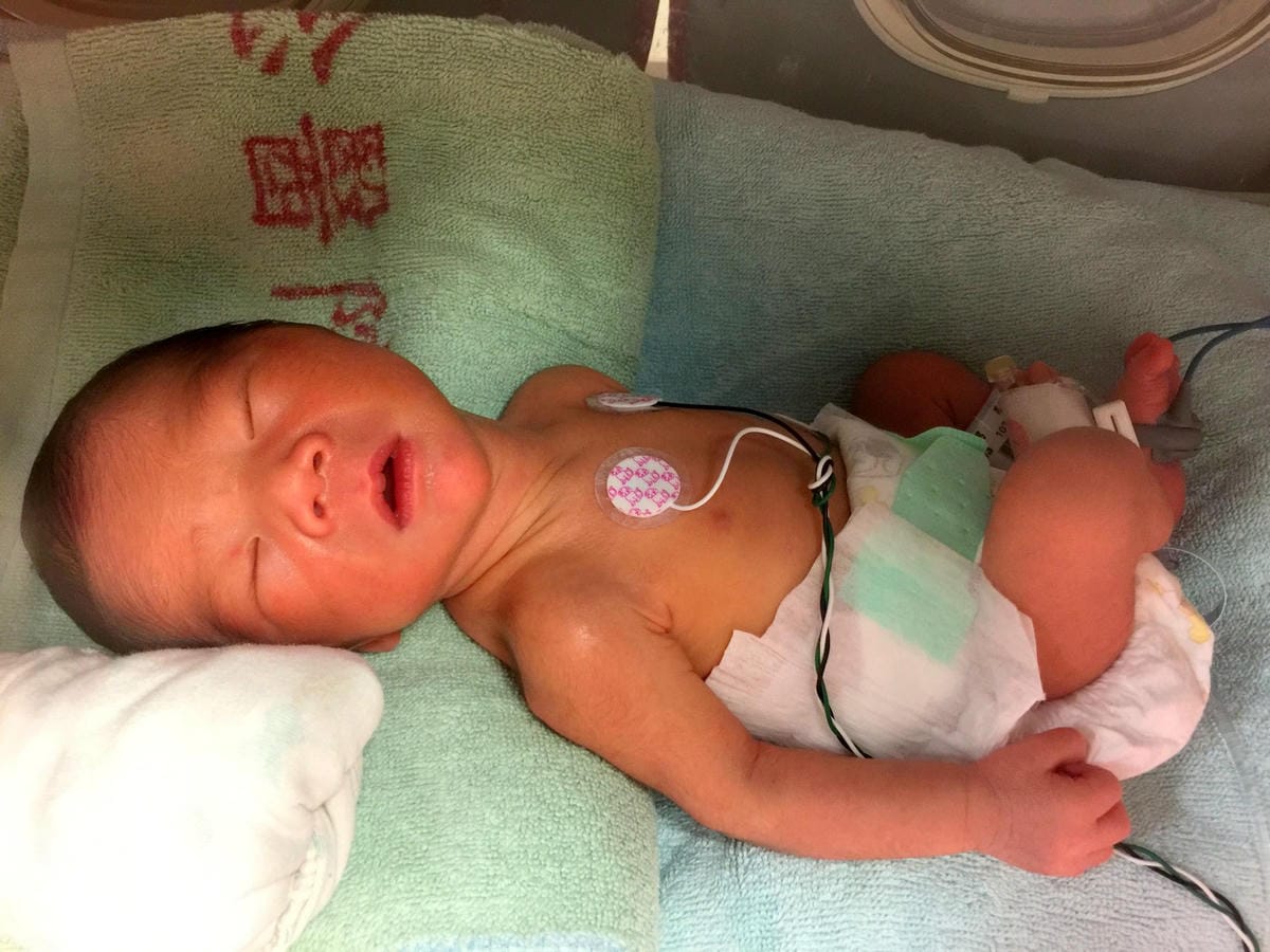 IMG_9760 (Copy).JPG IMG_9760 (Copy).JPG