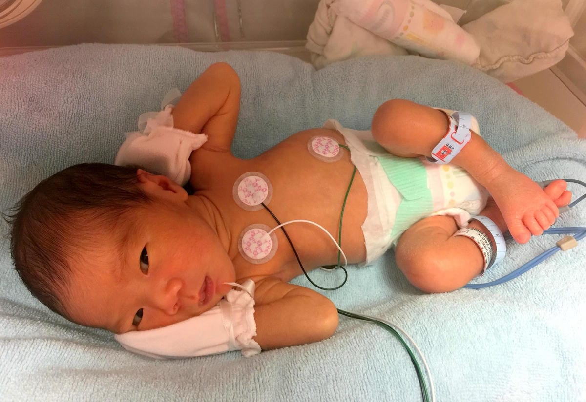 IMG_9828 (Copy).JPG IMG_9828 (Copy).JPG