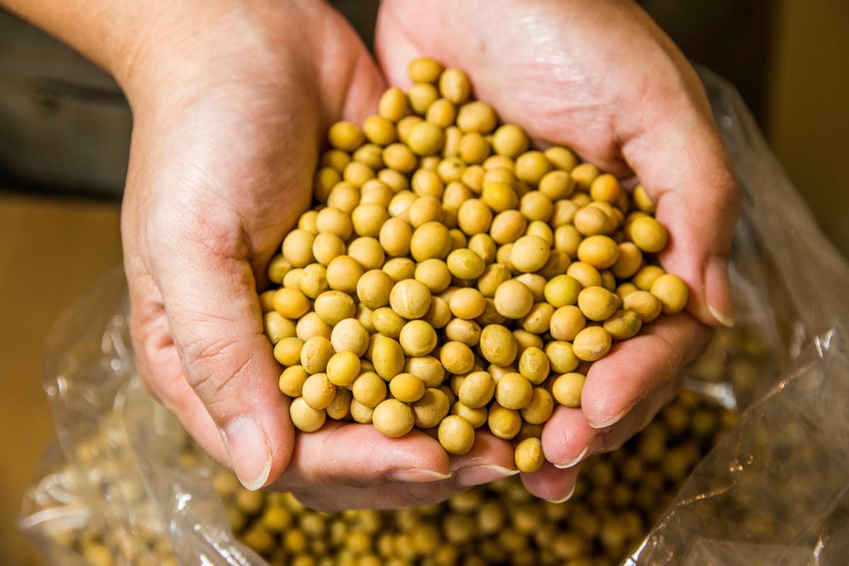 IMG_6948 (Copy).jpg IMG_6948 (Copy).jpg