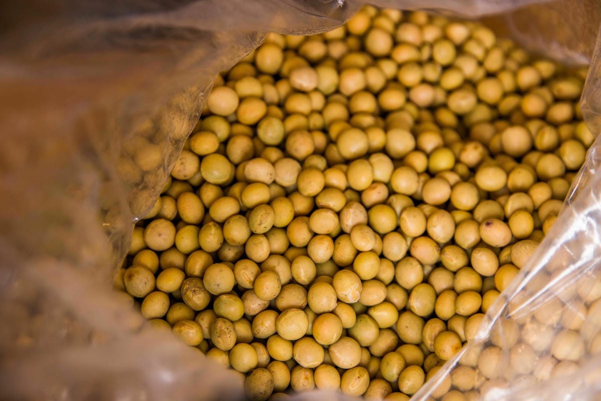 IMG_6945 (Copy).jpg IMG_6945 (Copy).jpg