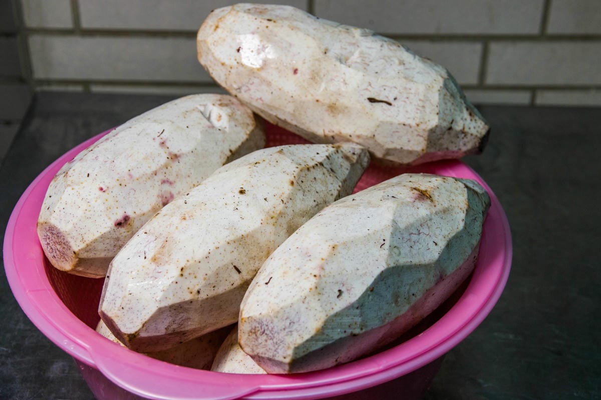 IMG_6942 (Copy).jpg IMG_6942 (Copy).jpg