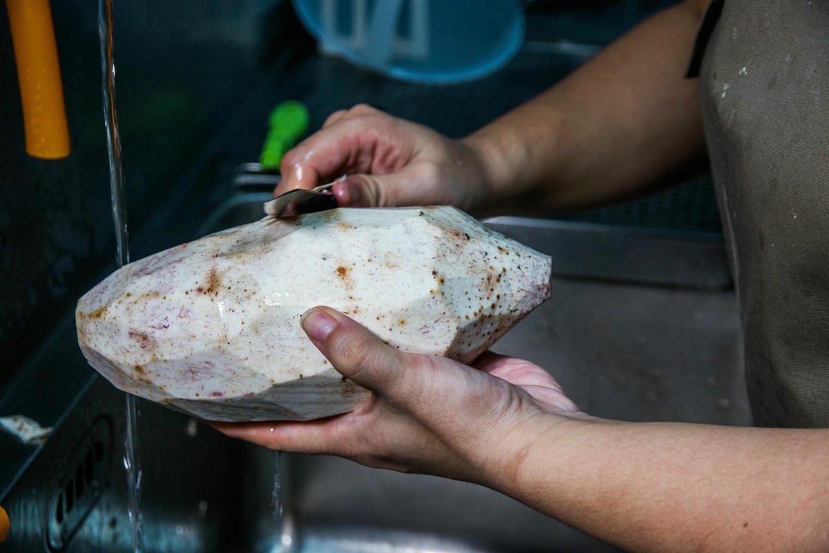 IMG_6941 (Copy).jpg IMG_6941 (Copy).jpg