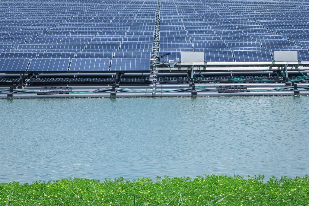 46418084594_ef2b936b54_b