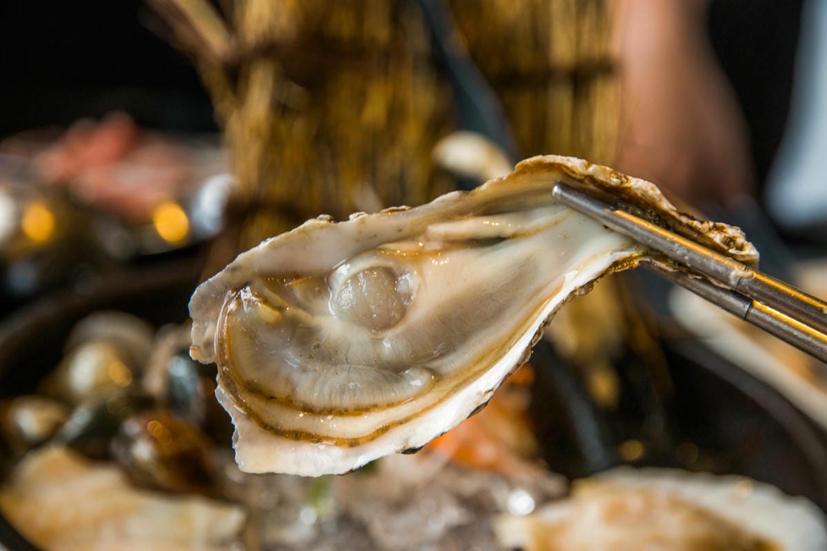 IMG_7105 (Copy).jpg IMG_7105 (Copy).jpg