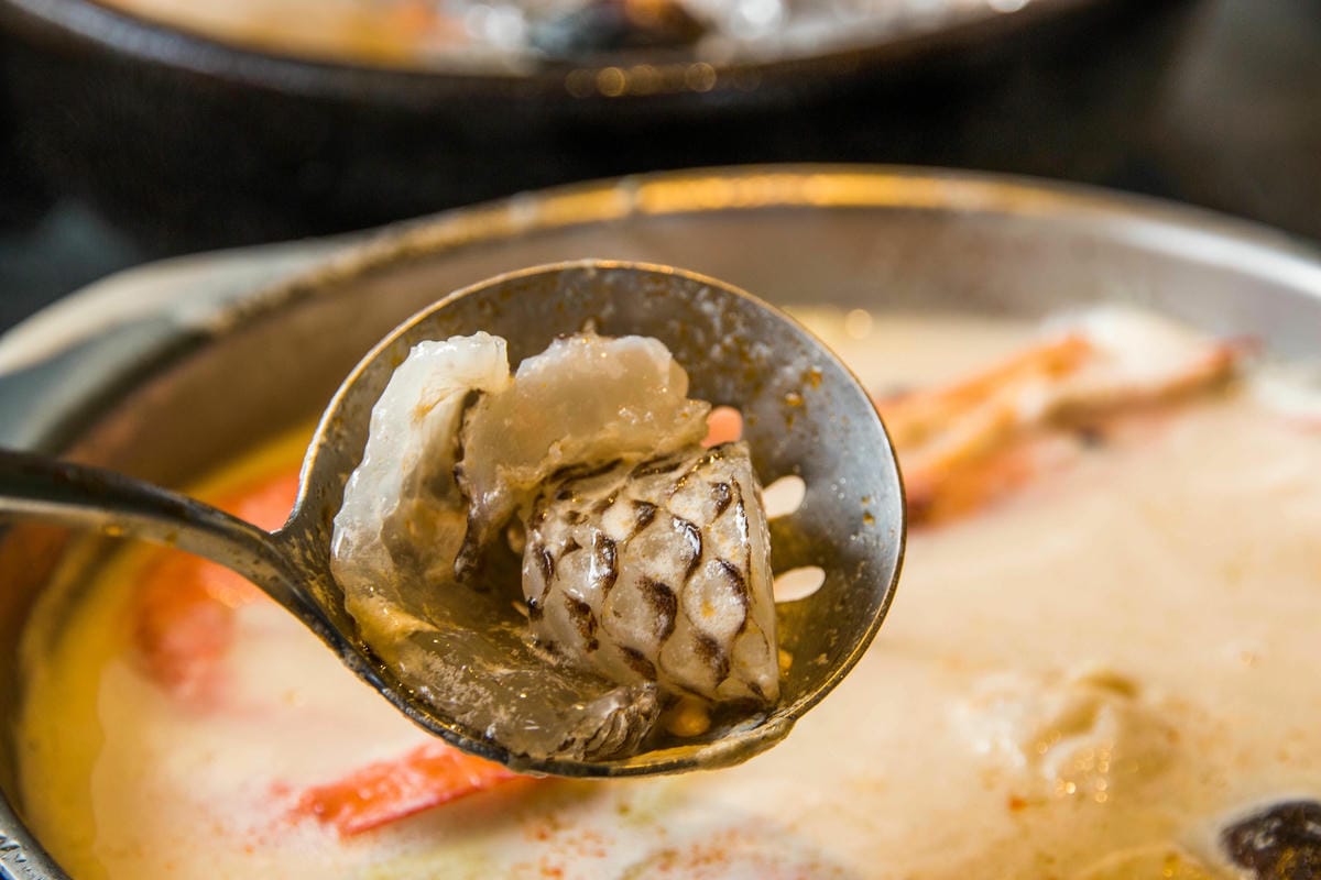 IMG_7106 (Copy).jpg IMG_7106 (Copy).jpg