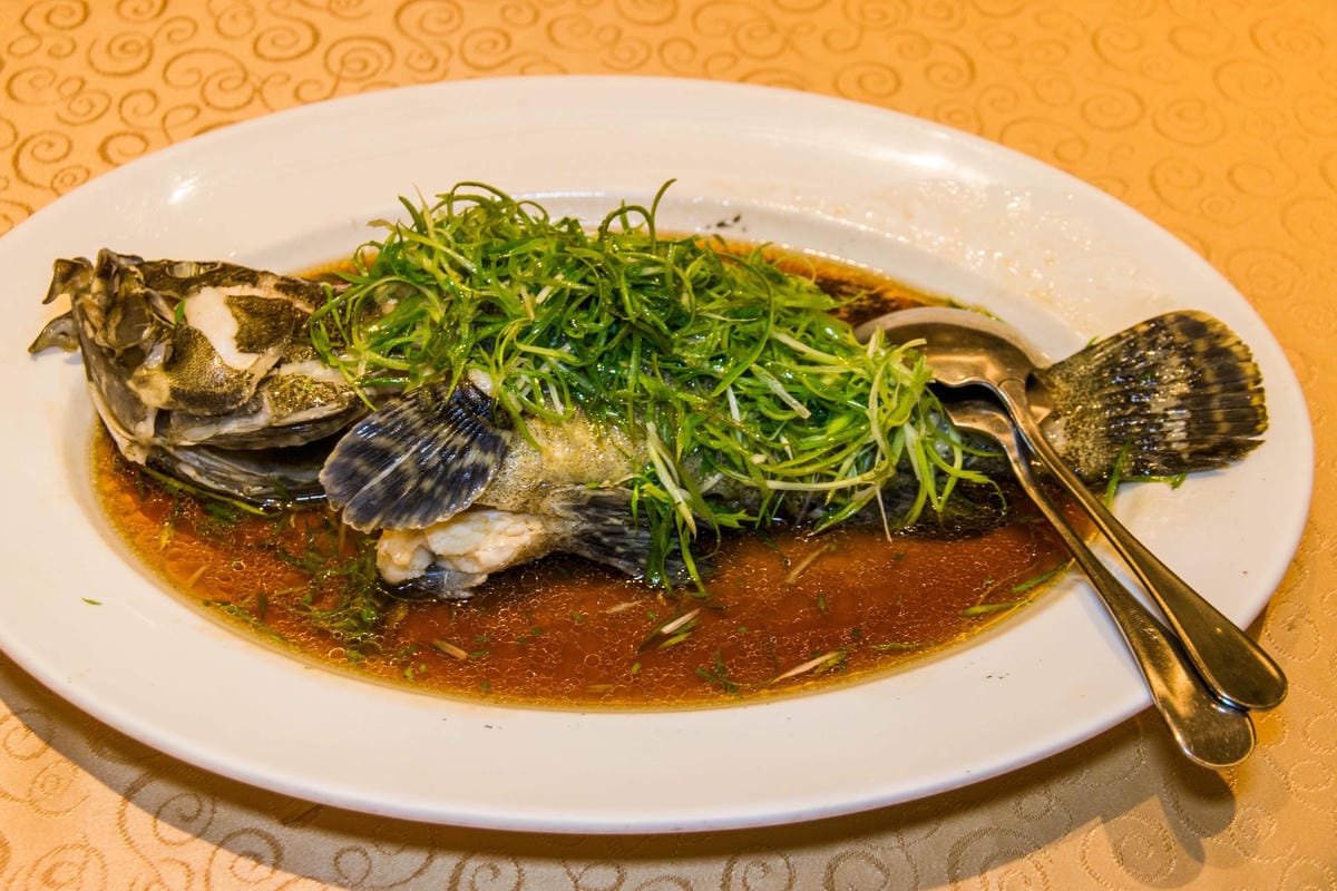 IMG_9614 (Copy).jpg IMG_9614 (Copy).jpg