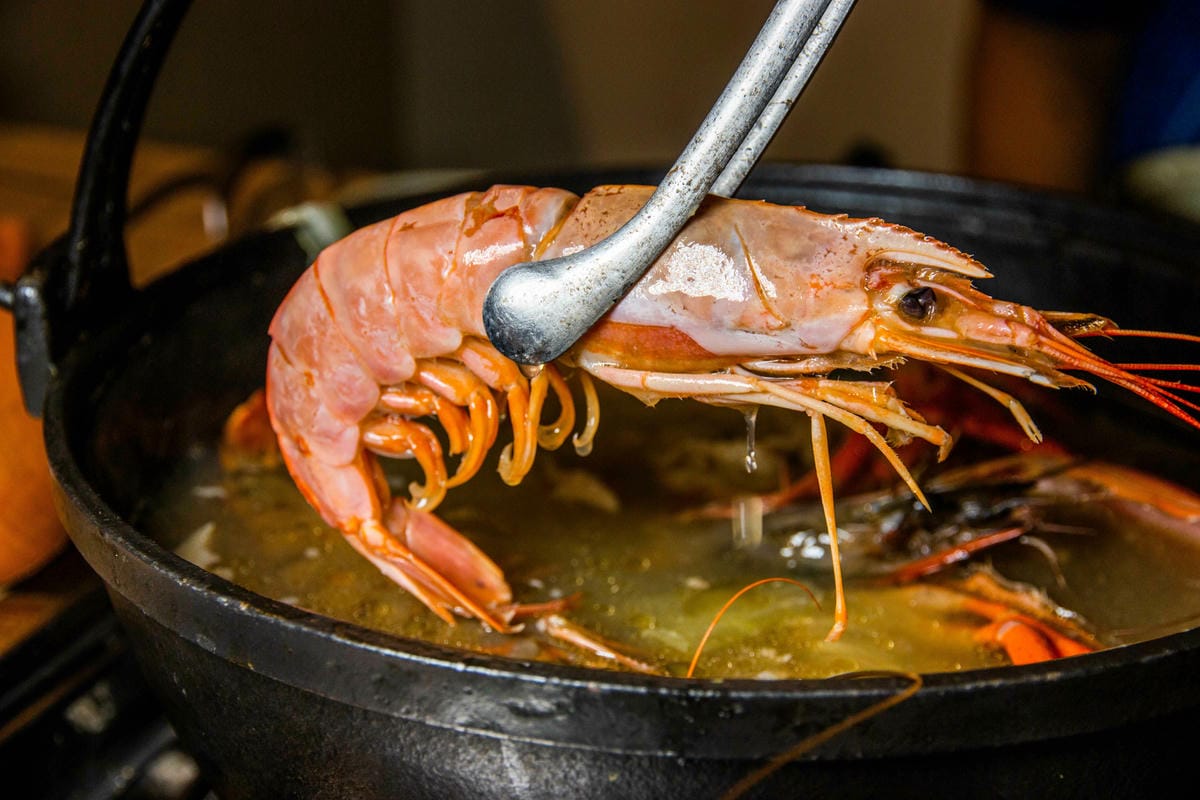 IMG_1675.jpg IMG_1675.jpg