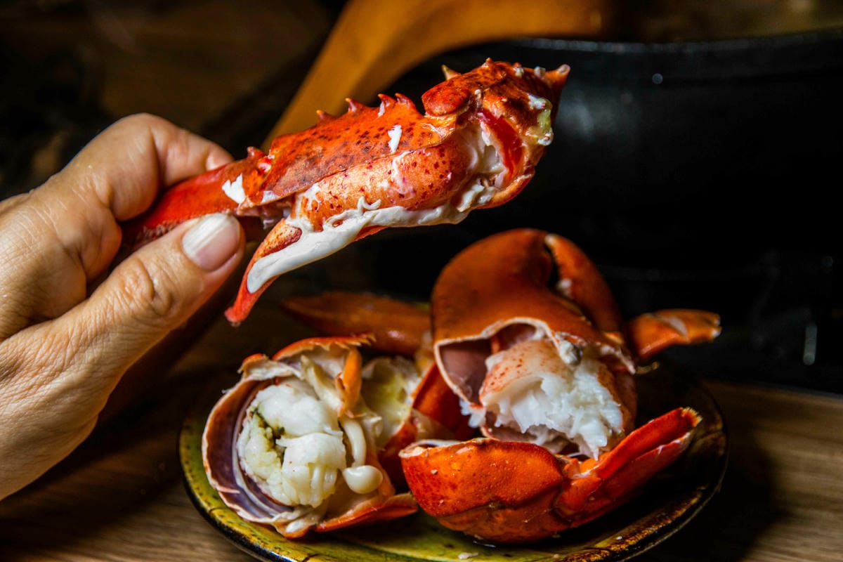 IMG_1671.jpg IMG_1671.jpg