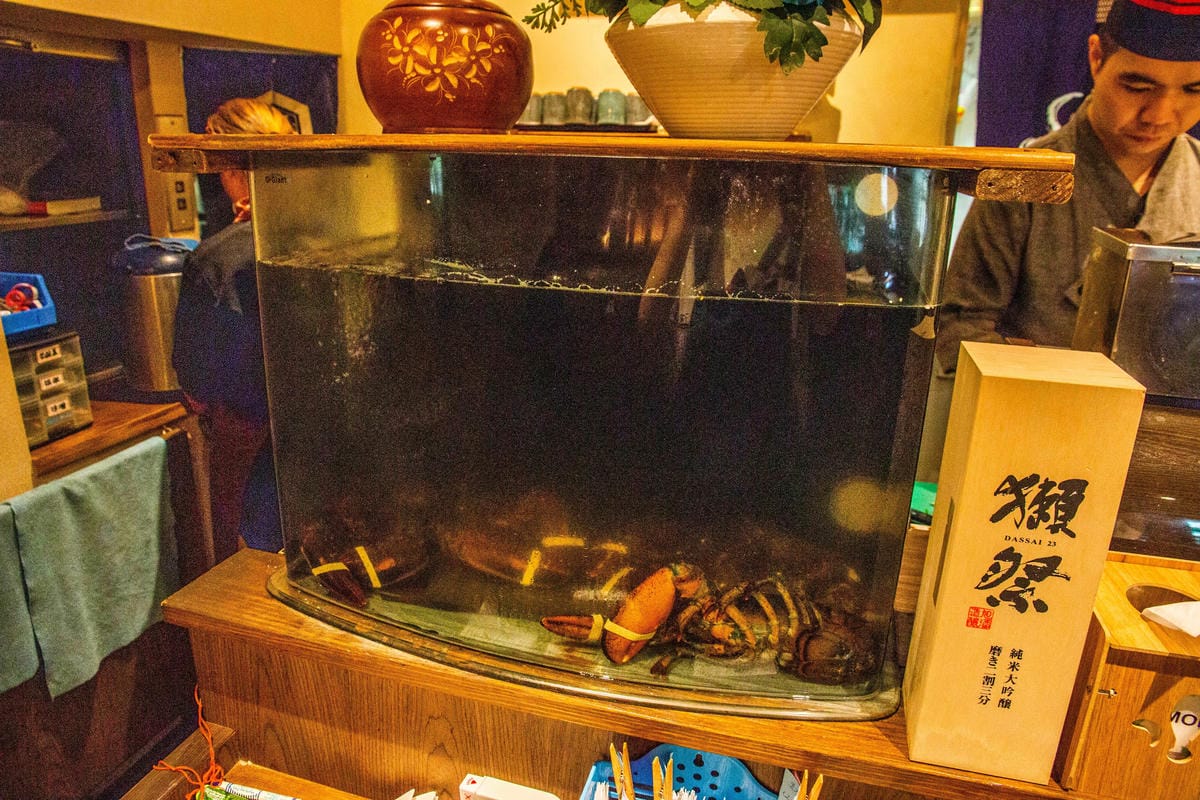 IMG_1599.jpg IMG_1599.jpg