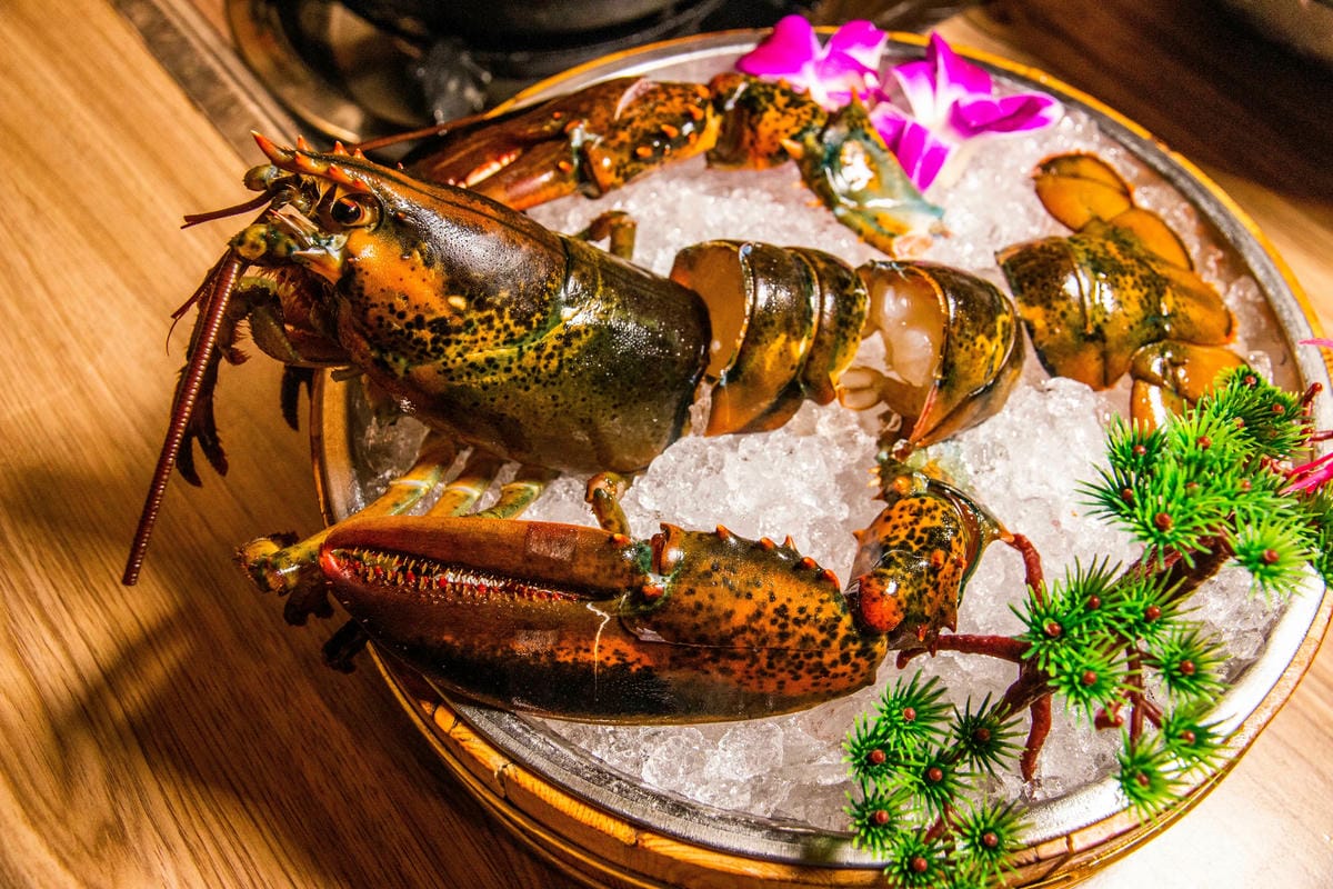 IMG_1634.jpg IMG_1634.jpg