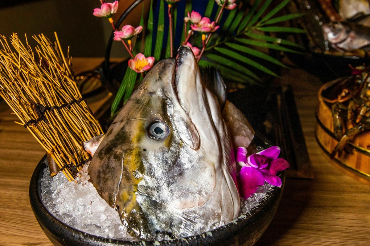 IMG_1655.jpg IMG_1655.jpg