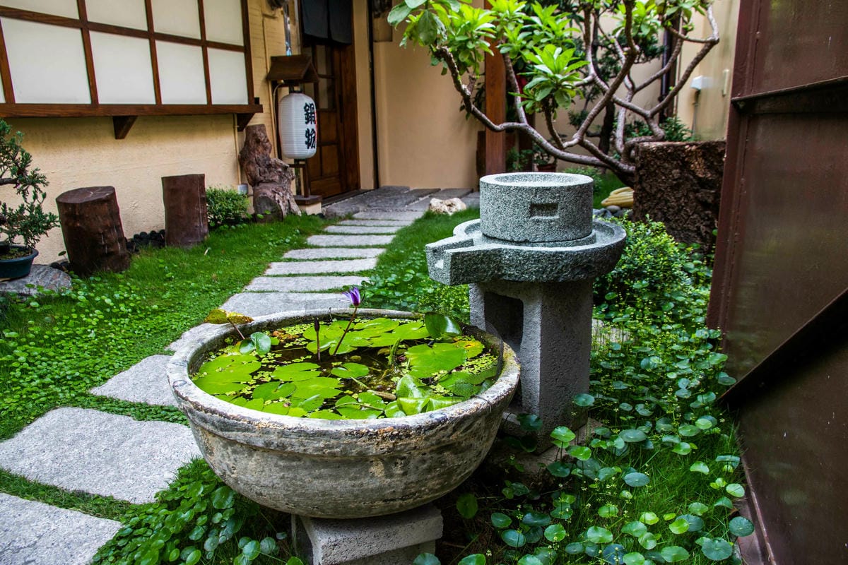 IMG_1679.jpg IMG_1679.jpg