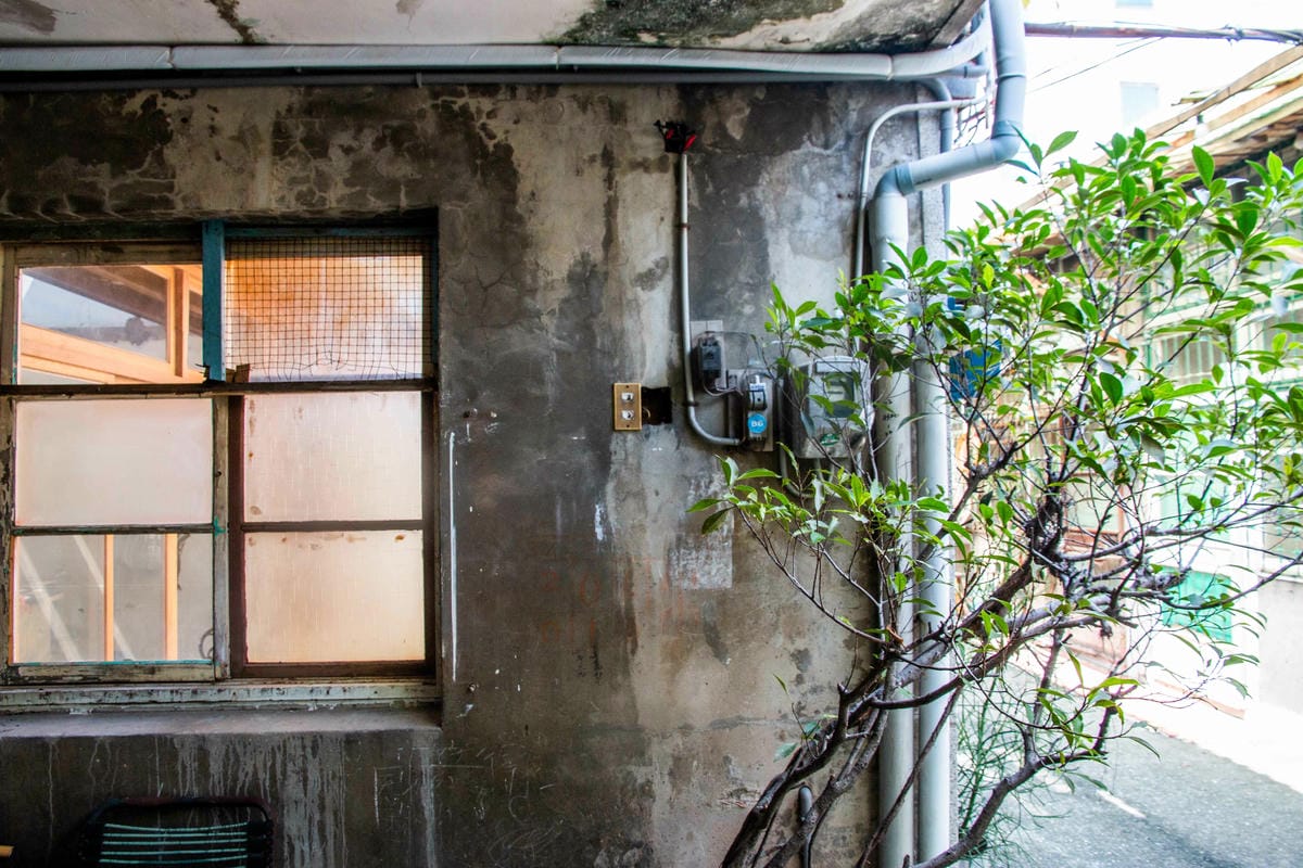 IMG_5001.jpg IMG_5001.jpg