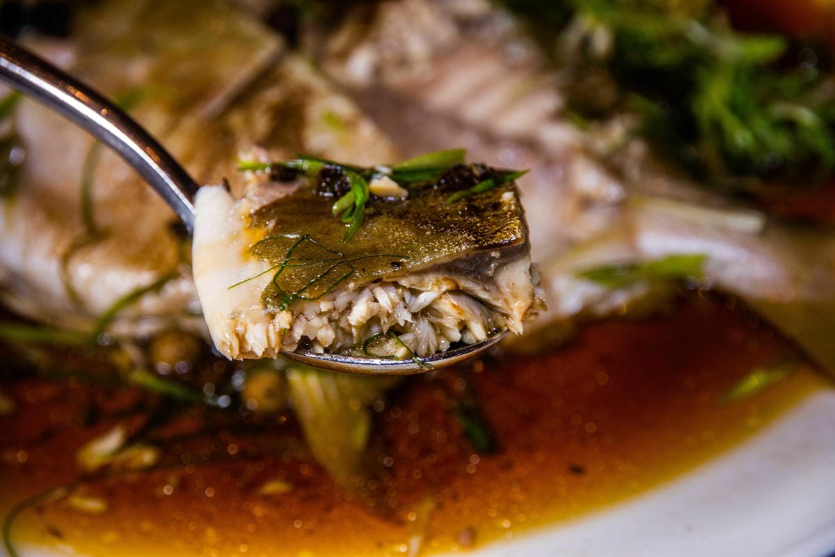 IMG_1358.JPG IMG_1358.JPG